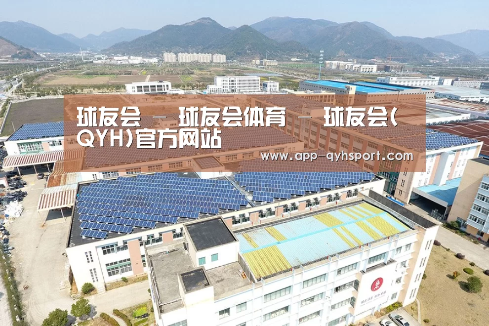 案例展示四