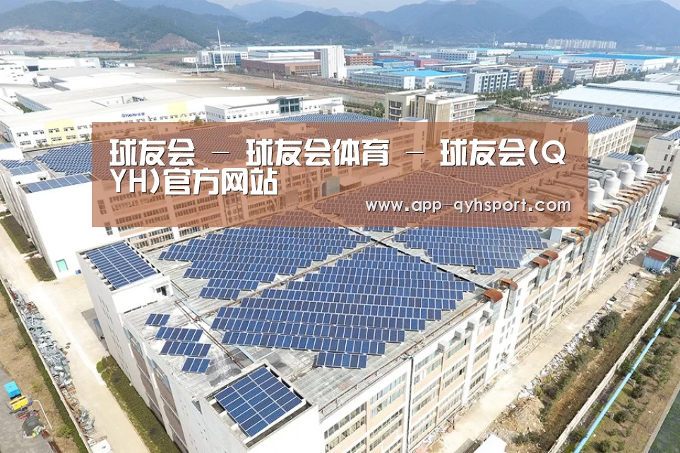 案例展示二