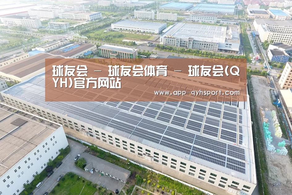 案例展示三
